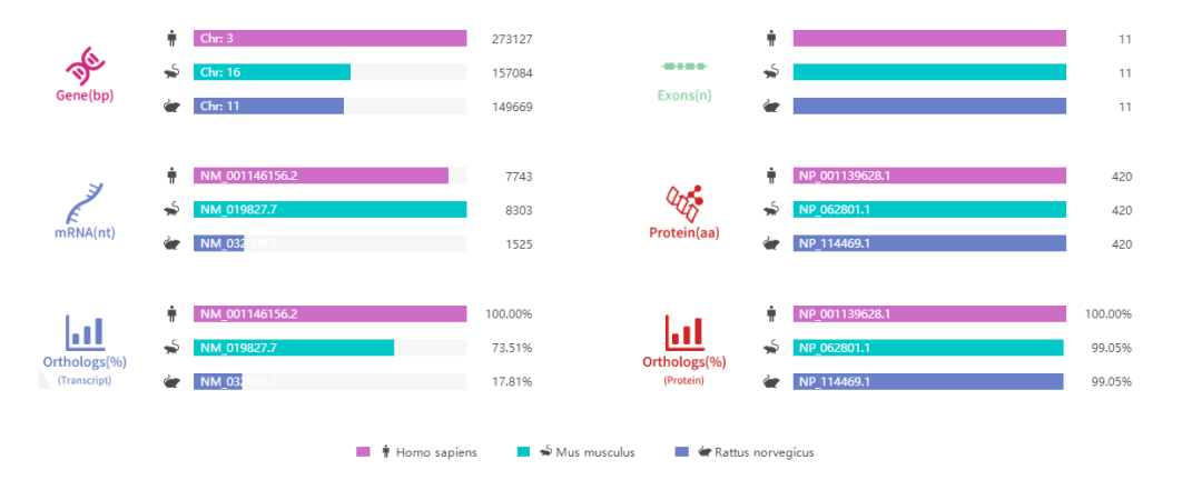 阿尔茨海默病及发育异常疾病等多方面研究模型Gsk3b基因敲除小鼠