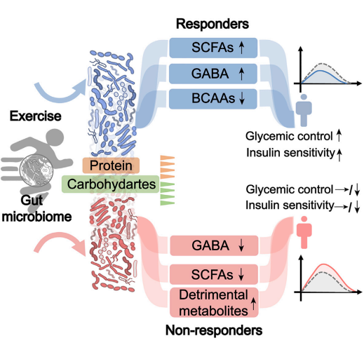 糖尿病&肥胖合集 | 麦特绘谱助力糖尿病/肥胖相关研究成果