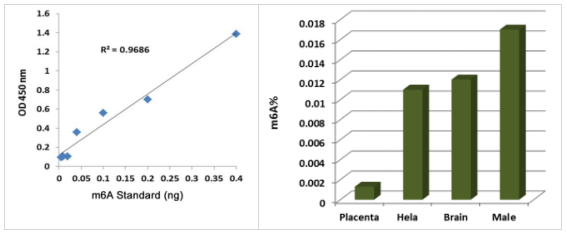 MethyFlash m6A DNA甲基化ELISA试剂盒（比色法），限时折扣，先到先得！