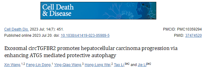 一区9分，外泌体circTGFBR2通过增强ATG5介导的保护性自噬促进肝细胞癌的进展