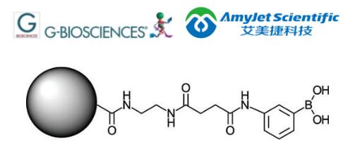亲和纯化树脂丨G-Biosciences 硼丨酸盐树脂解决方案 亲和纯化树脂丨G-Biosciences 硼丨酸盐树脂解决方案