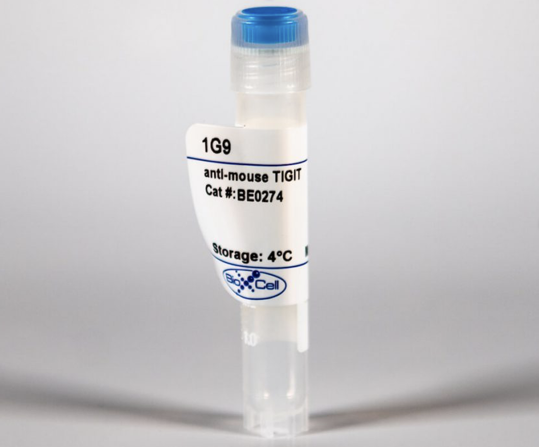 BioXcell特色产品推荐之：InVivoMAb anti-mouse TIGIT