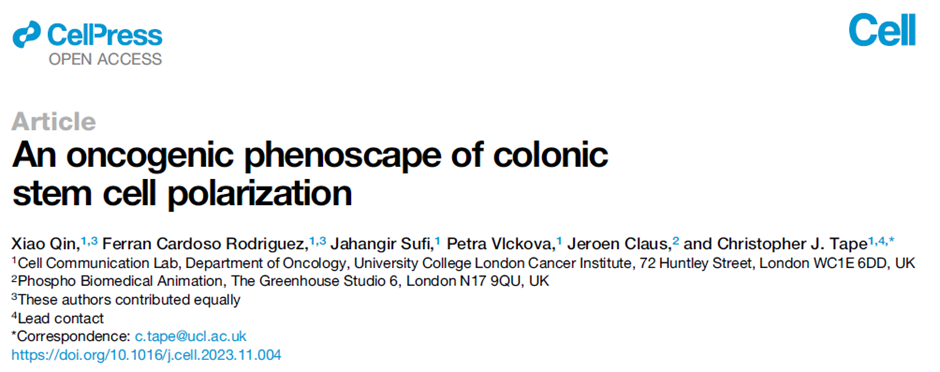 【Cell】- 质谱流式揭示结肠干细胞极化表型