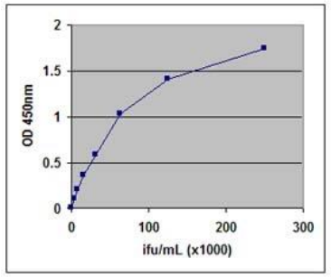 准确可靠地检测腺病毒？艾美捷 Cell Biolabs有答案！