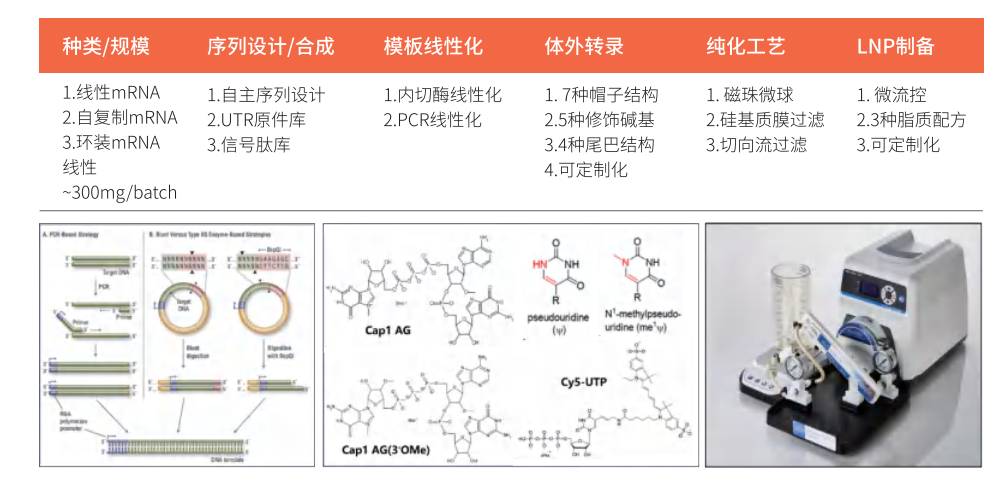 新闻图片3