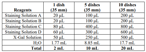 中英文说明书丨艾美捷细胞衰老β-半乳糖苷酶染色试剂盒
