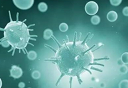 细胞运输方式有哪几种