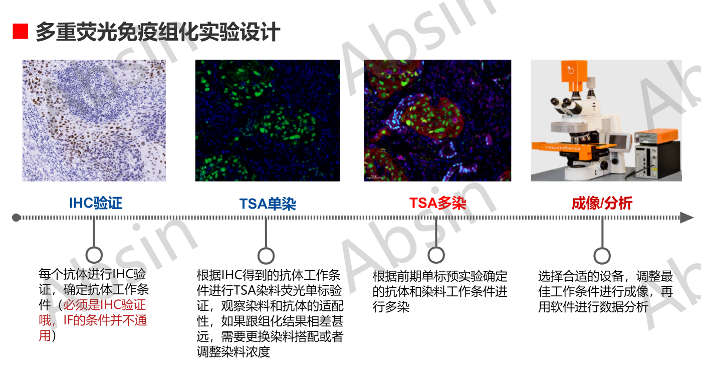 多重荧光免疫组化Q&A——第三弹