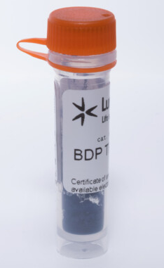 艾美捷BDP TR X NHS酯解决方案