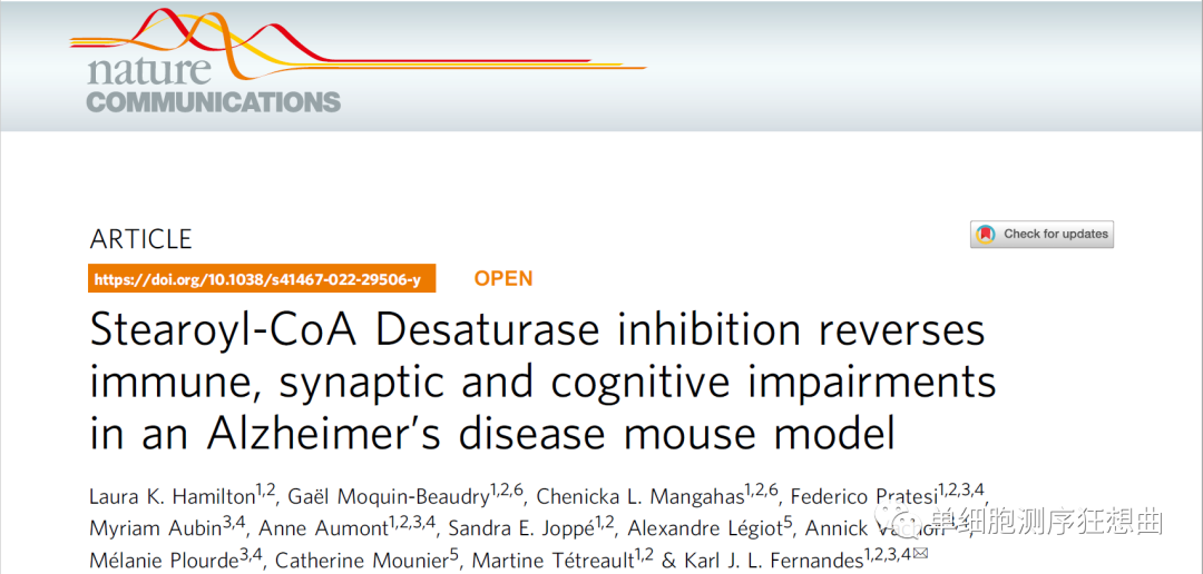 【神经研究】——高分文献及多维度研究思路分享