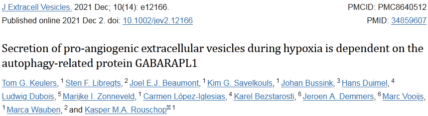 【JEV】17分+，缺氧时促血管生成细胞外囊泡的分泌依赖于自噬相关蛋白GABARAPL1