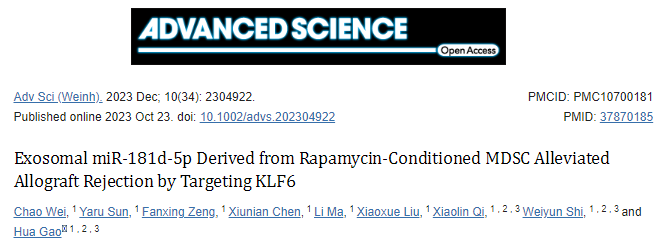 【Advanced Science】15+,来自雷帕霉素条件MDSC的外泌体miR-181d-5p通过靶向KLF6减轻同种异体移植排斥反应