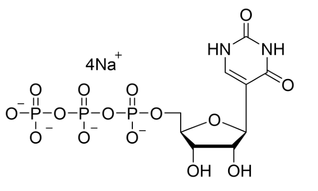mRNA疫苗研究明星爆品——假尿苷三磷酸四钠盐溶液