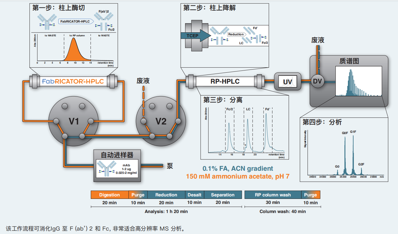新闻图片10