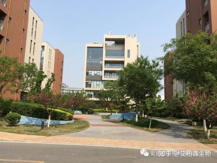 安诺伦重磅代理LB产品精品推荐！双11折扣钜惠超多福利~