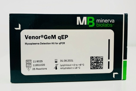 CAR-T细胞疗法针对的肿瘤靶点与实体瘤治疗进展