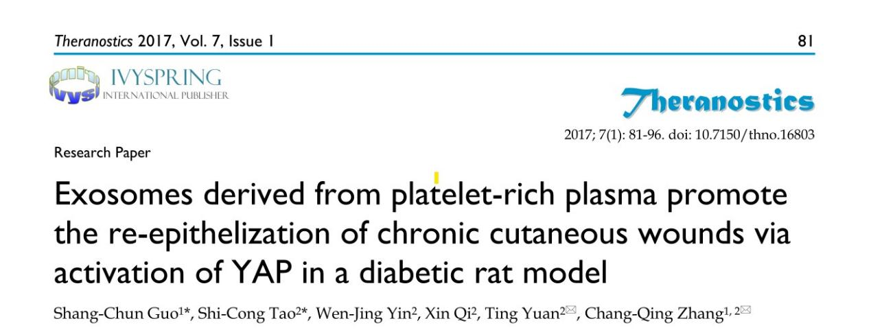 文献解读：从富含血小板的血浆中提取的外泌体通过激活YAP在糖尿病大鼠模型中促进慢性皮肤伤口的再上皮化