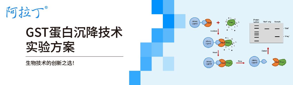 【阿拉丁】GST融合蛋白沉降技术实验方案