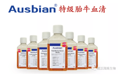 " 血清挑选指南 | 结果无法重复？血清批次可能存在影响！"