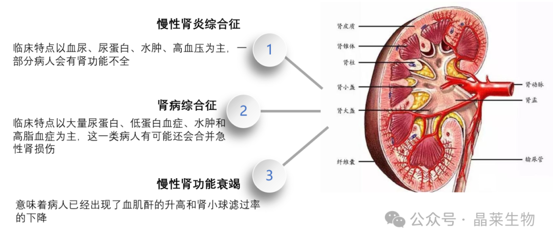 1709541628815215.png 新闻图片2
