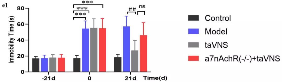  大鼠在神经领域的应用