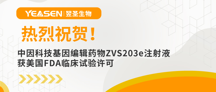 热烈祝贺！中因科技基因编辑药物ZVS203e注射液获美国FDA临床试验许可