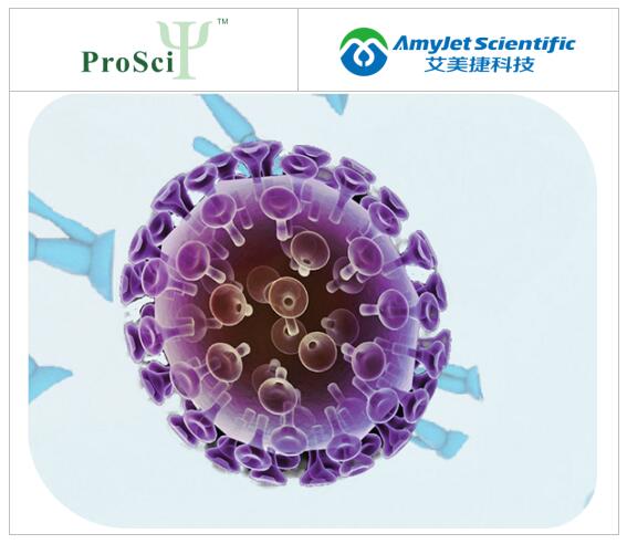 艾美捷ProSci丨ProSci 抗蛇毒广谱抗毒素抗体解决方案