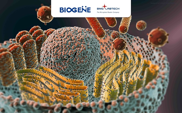 讲座邀请：神经退行性疾病研究系列（二）：线粒体功能障碍研究