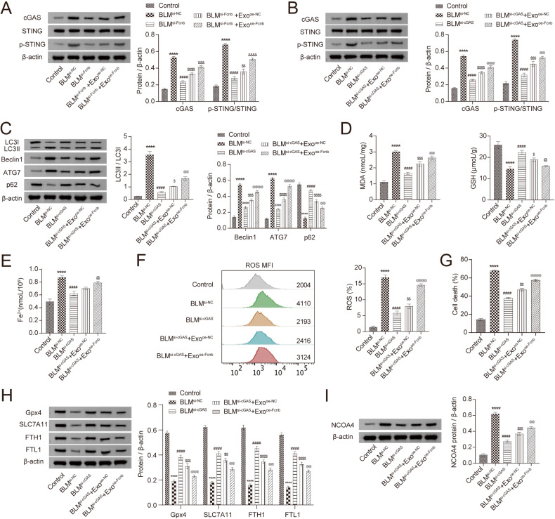外泌体技术服务