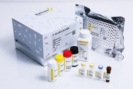 艾美捷总胶原蛋白检测试剂盒特征&相关研究 艾美捷总胶原蛋白检测试剂盒特征&相关研究