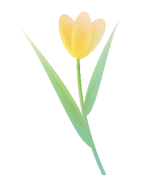 如何用WB鉴定膜蛋白提取是否成功？