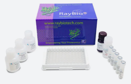 LAG-3表位作图肽阵列：新品尝鲜，限时特惠！