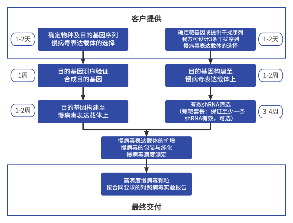 一文读懂慢病毒（LV）| 什么是慢病毒？慢病毒载体的应用！