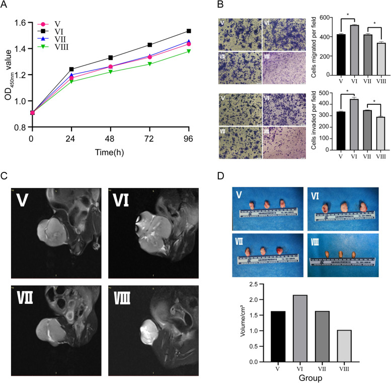 细胞功能实验 细胞功能实验