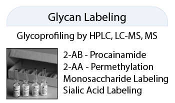 QA-Bio聚糖标记产品