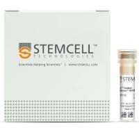 EasySep™ 人 CD3 阳性分选试剂盒 II