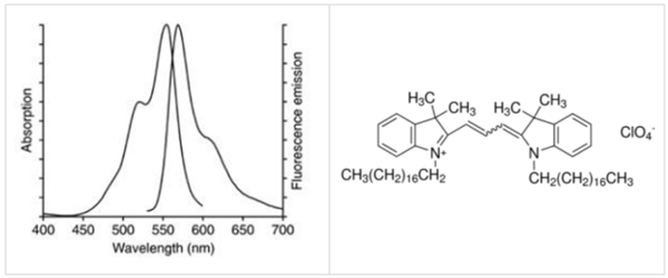 Liposoma-单核巨噬细胞示踪脂质体Dil LPOSOME，超值特惠