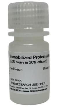 G-Biosciences 固定化蛋白A,树脂的特征和应用 G-Biosciences 固定化蛋白A,树脂的特征和应用