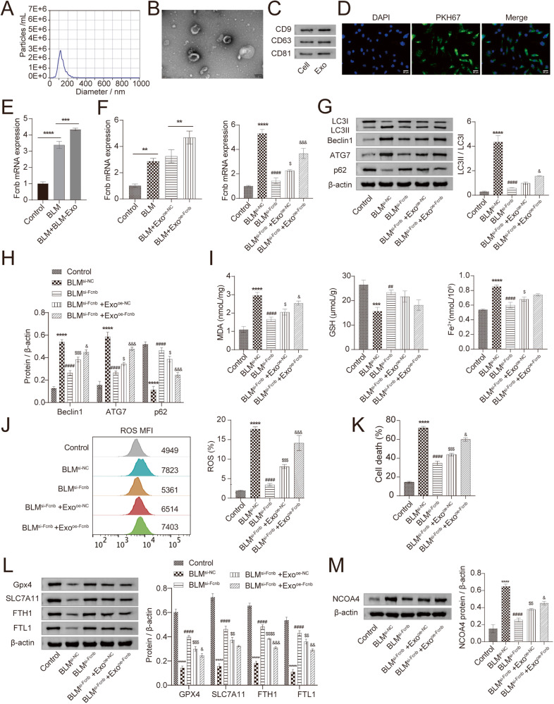 外泌体技术服务