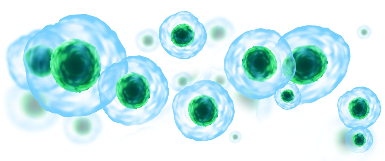 ELISA通关必备（4）丨样本篇丨常见样本丨细胞