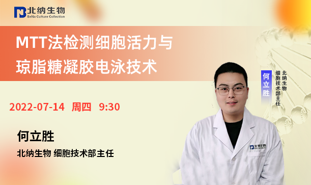7.14日BNCC线上研讨会《MTT法检测细胞活力与琼脂糖凝胶电泳技术》即将开播！