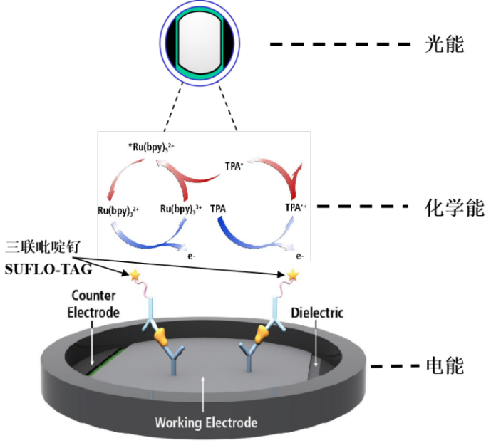 MSD电化学发光技术在神经领域中的应用
