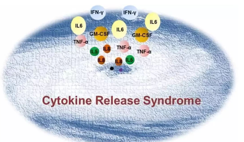 药物研发（四）-体外细胞因子释放实验（CRA）
