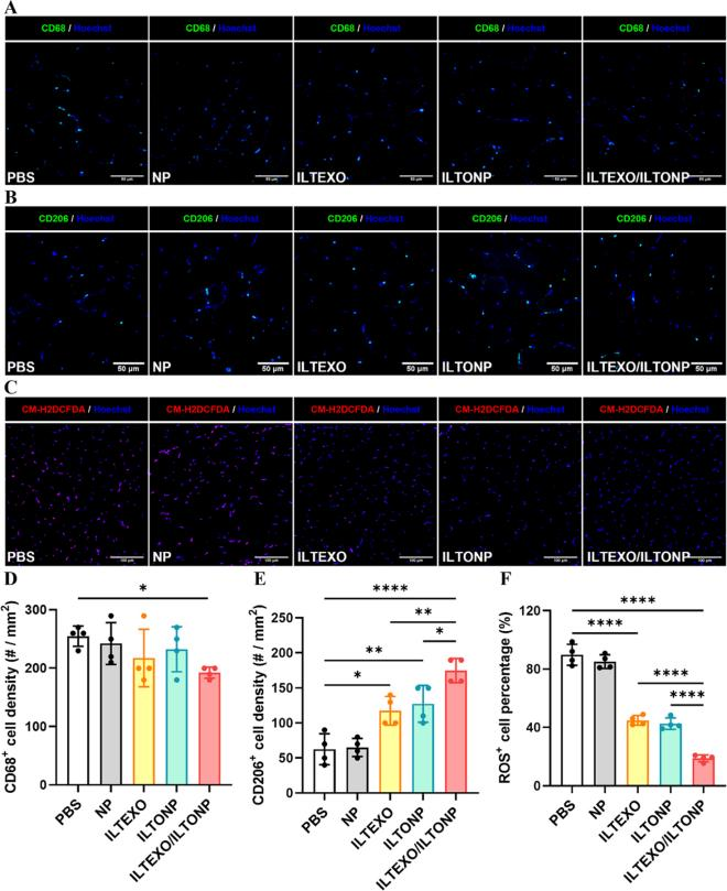 外泌体技术服务 外泌体技术服务