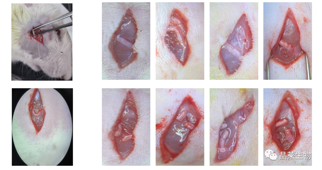 1699860391256351.png 新闻图片2