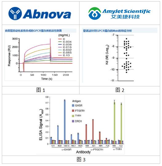 Abnova丨Abnova GPCR单克隆抗体解决方案 Abnova丨Abnova GPCR单克隆抗体解决方案