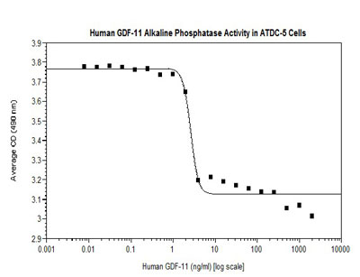 艾美捷GDF11(人/小鼠/大鼠)重组蛋白分析结果&应用