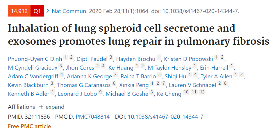 吸入肺球体细胞分泌物和外泌体改善肺纤维化