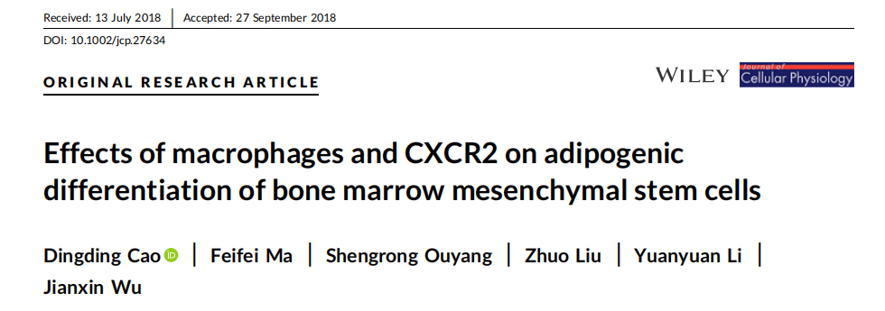 巨噬细胞和CXCR2对骨髓间充质干细胞成脂分化的影响