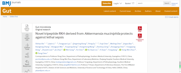 IF=24.5丨南方医科大学团队发现AKK来源的新型三肽对致死性脓毒症的保护作用